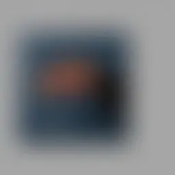 Avatar for Stacia Champlin