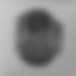 Avatar for Artist 043