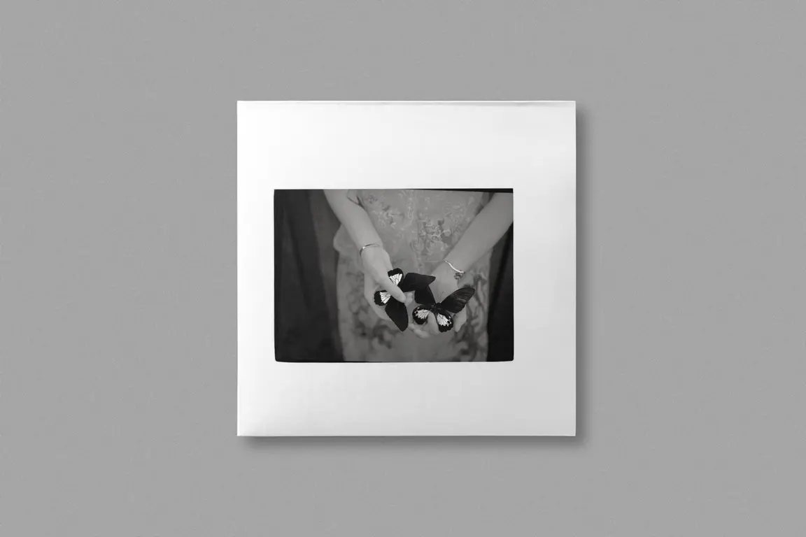Image for Secret Artwork 480