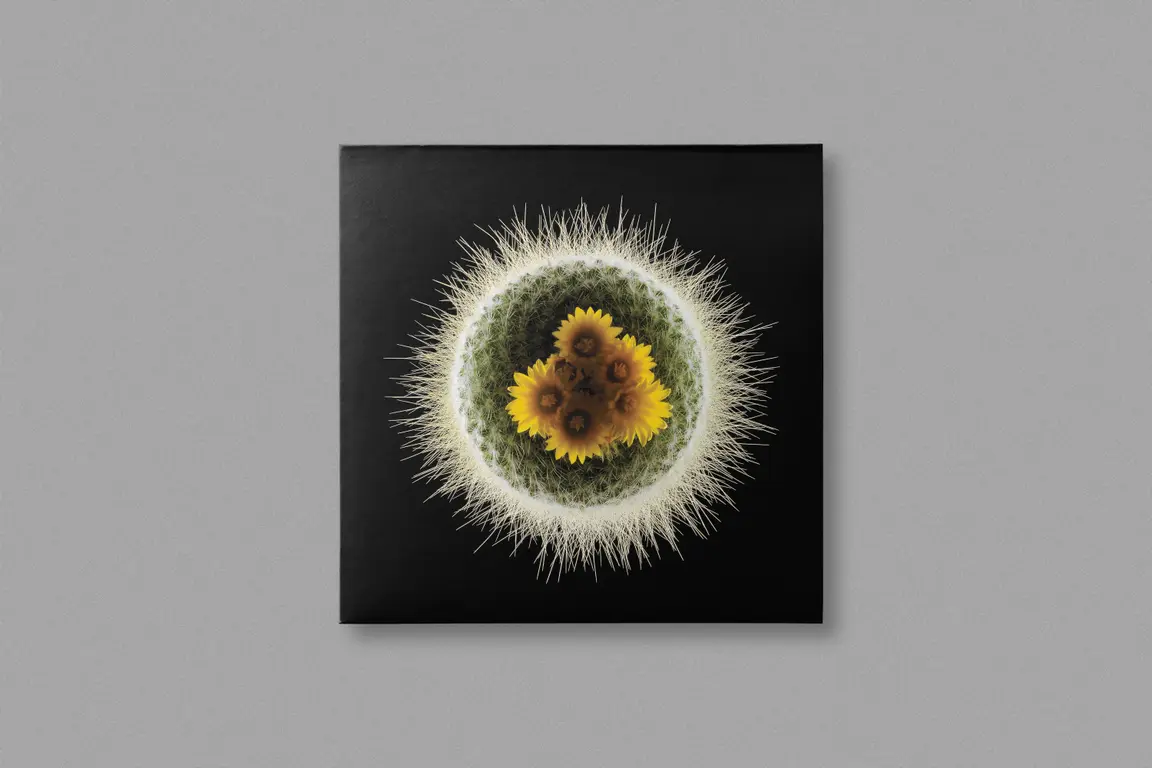 Image for Secret Artwork 035