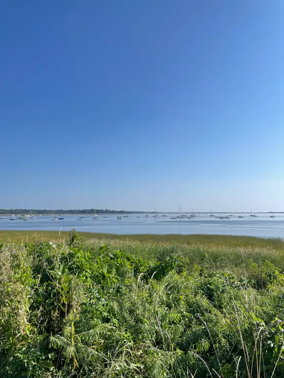 Image for Test
