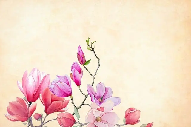 Image for Secret Artwork 568